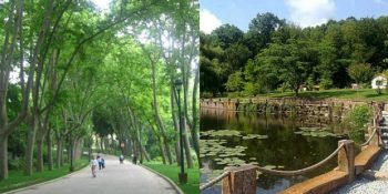 Gri Binalar ve İnşaatlardan Kaçıp Biraz Rahatlamak İsteyenler İçin İstanbul’daki 12 Yeşil Alan