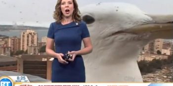 Hava Durumu Haberlerini Trolleyen Martı Eşliğinde Kariyerinde İlkleri Yaşayan Spiker