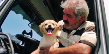 34 Yıllık Tır Şoförüne Yoldaşlık Yapan Sevimli Köpek Çapkın’ın Yolculuk Serüvenleri