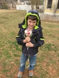 darla_tavuk (3)
