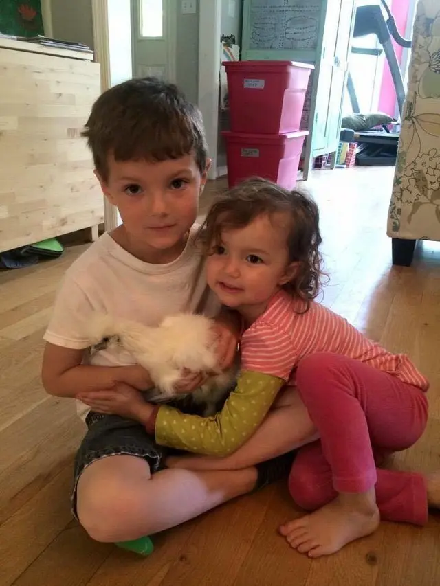 darla_tavuk (8)