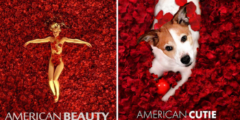 Başrol Oyuncusu Köpek Olan Paralel Bir Evrende Afişleri Değişen 26 Ünlü Film