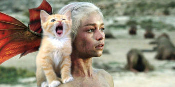 Ejderhaların Annesi Khaleesi ile Kedi Anneleri Arasındaki Benzerliğin 8 Kanıtı