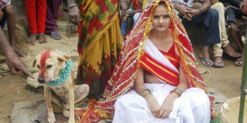 Hintli Kadınların Köpeklerle Evlendirildiği İlginç Bir Festival: Tihar Köpek Festivali