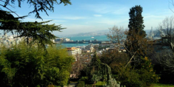 Müftülüğe Devredilişi Gündemde Olan Atatürk’ün Mirası İstanbul Üniversitesi Botanik Bahçesi