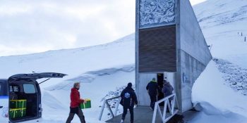 Gelecek Nesillere Kalması İçin Norveç’te Kurulan Kıyamet Kütüphanesi