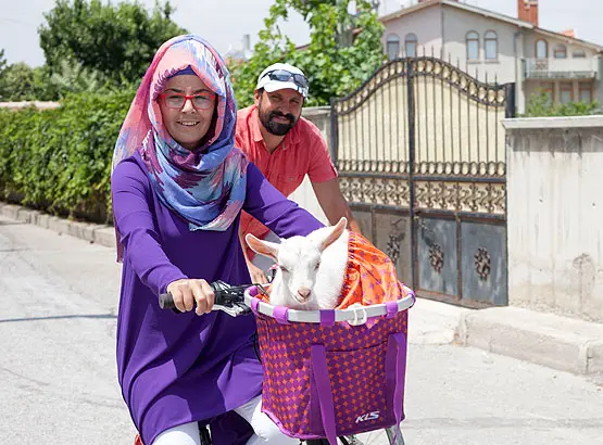konya_pamuk_oğlak (9)