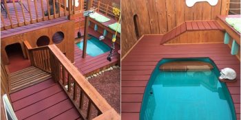 Köpeklerine İçinde Yüzme Havuzu Bile Bulunan Köpek Sarayı Yapan Adamın Muazzam Eseri