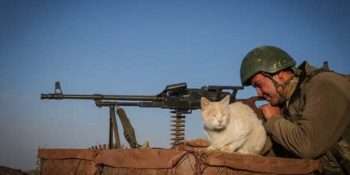 Irak Sınırındaki Dağlarda Nöbet Tutan Mehmetçiğin Moral Kaynağı Kedi Ailesi