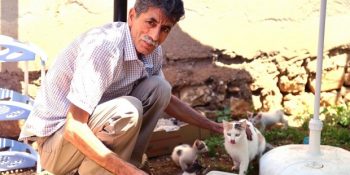 Mahallenin Kedilerine de Muhtarlık Yapan Mardinli Hayvansever Muhtar Mehmet Ali Turğut