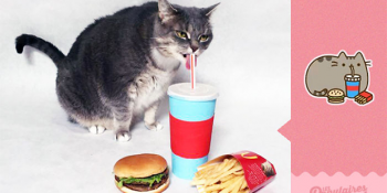 İnternetin En Ünlü Emoji Kedisi Pusheen’e Hayat Veren Pisicik Jackie’den 13 Cosplay