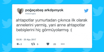 Duyunca Şaşkınlık Yaratan Hayatımızın İçinden 16 Işık Yakan Bilgi