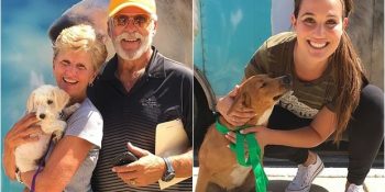 Sokağa Terk Edilen ve Barınaklarda Uyutulmayı Bekleyen Köpekleri Kurtaran Melekler: Tracy’s Dogs