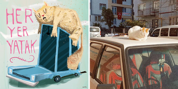 Şehrin Sokaklarında Başını Okşadığınız Minnoşların Sizde Bıraktıkları: Urban Fables