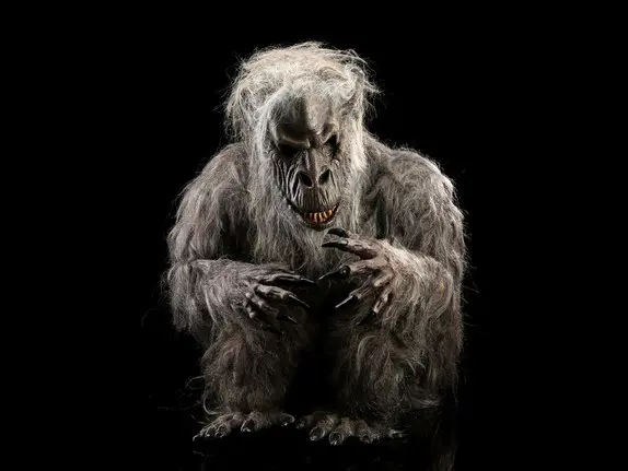 18_Fluffy-Costume-and-Display_4