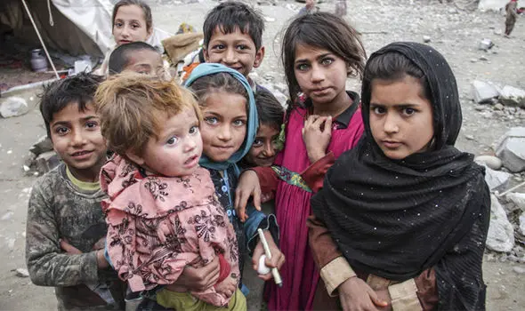 Afghan-530402