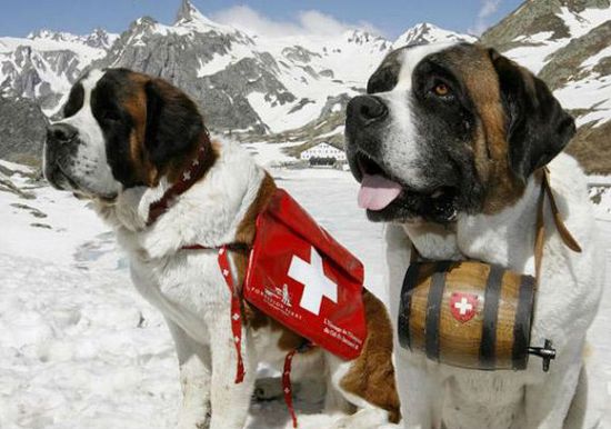 alkolun-soguk-havada-isitmasi