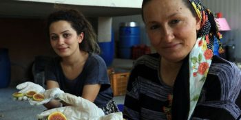 Artan İncirleri Kurutup İncir Cipsi Yaparak Bakanlıktan Hibe Alan Aydınlı Anne ve Kızı