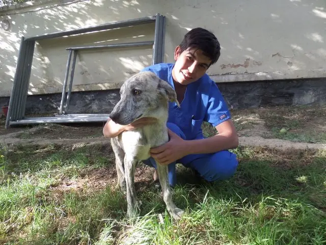 bagimli_kopek_nesha (6)