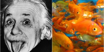 Sorgusuz Sualsiz Bugüne Kadar Doğru Kabul Ettiğimiz Günlük Hayatımızdaki 9 Yanlış Bilgi