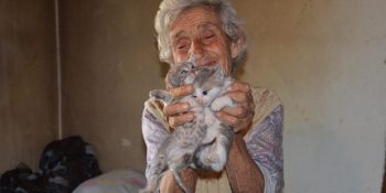 25’ten Fazla Kediye Annelik Yapan 95 Yaşındaki Elleri Öpülesi Ninemiz Hanım Danışmaz
