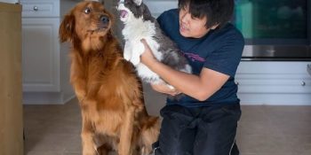 Köpeklerin Kedilerden Neler Çektiğini Bir Kez Daha Gösteren 19 Sevimli Kare