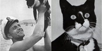 II. Dünya Savaşı’nda Batan Üç Gemiden de Sağ Çıkmayı Başaran Kedi: Batmaz Sam