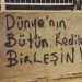Şehrin Duvarlarını Süsleyen Birbirinden Güzel 18 Kedili Duvar Yazısı