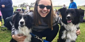 Bir Araya Gelerek Dünya Rekoru Kıran 576 Border Collie Cinsi Köpeğin Yarattığı Cennet