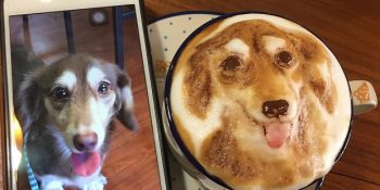 Evcil Hayvanlarınızın Fotoğraflarını Kahve Köpüğüne Çizen Yetenekli Baristadan 17 Leziz Çalışma