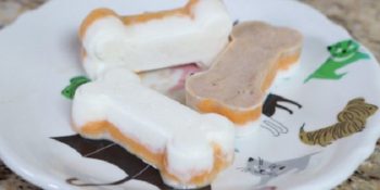 Meyveli Yoğurtlarla Yapılan Lezzetli ve Faydalı Köpek Ödül Maması