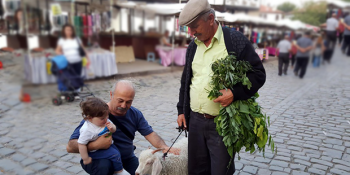 Öksüz Oğlağı Kesilmekten Kurtaran Hamza Karabacak ve Yanından Ayrılmayan Oğlak Elif