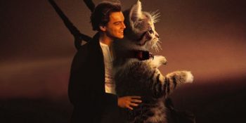 İki Ayağının Üzerinde İnsan Gibi Duran Kedinin Montajlandığı 10 Sevimli Durum