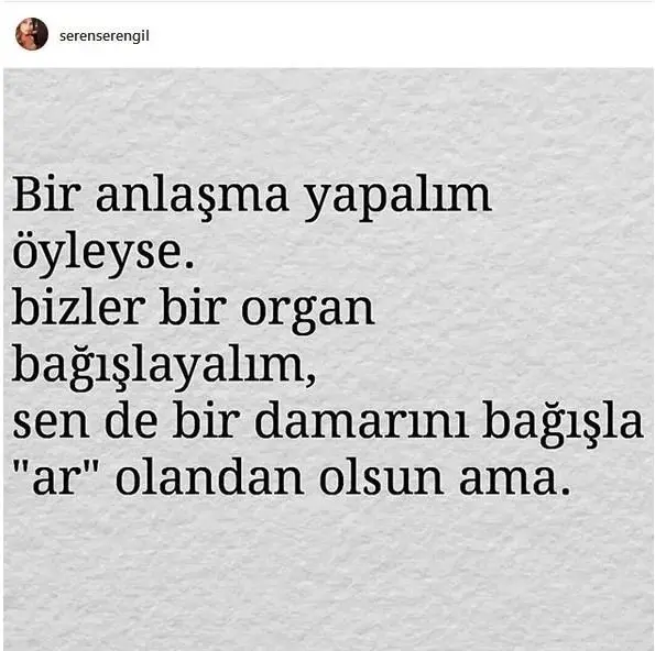 seren-gulben