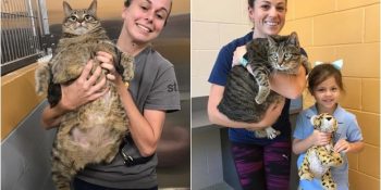 Barınaktan Kedi Sahiplenirken En Duygusal Seçimi Yapan Koca Yürekli Minik Kız