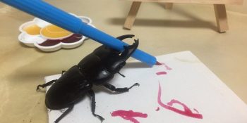 Tabloları İnternette 1575 Dolara Alıcı Bulan Geyik Böceği Spike’ın Sanat Hayatı