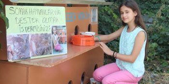 Keman Çalarak Sokak Kedilerine Ev Yaptıran 11 Yaşındaki Koca Yürekli Tuana