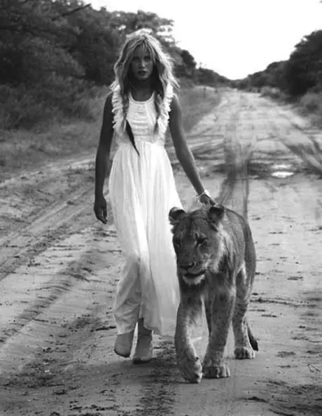 wp-content-uploads-2014-04-lioness