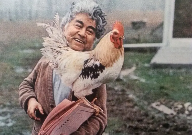 3636