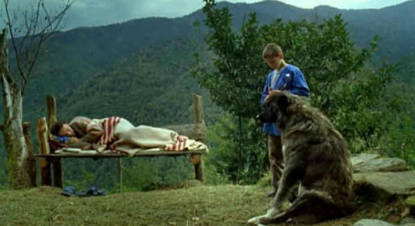 3f9a6c3d0e021439face46180029c09d