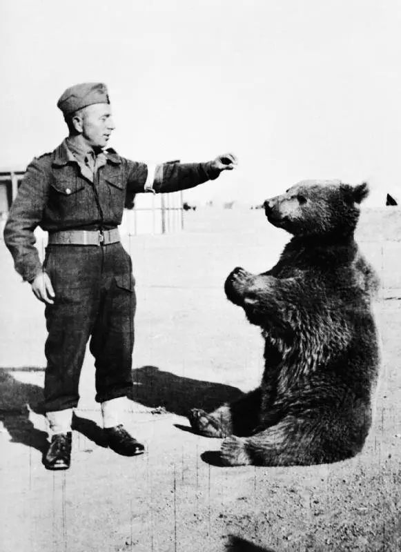 Ayı-Wojtek