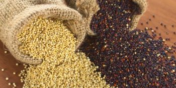 Tüm Tahılların Annesi Olarak Adlandırılan Süper Besin Kinoa Hakkında Bilmeniz Gereken 16 Şey