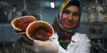 Ölümsüzlük Mantarı Üreten ve Türkiye’nin Her Yerine Gönderen Girişimci Reyhan İşcan