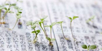 Japonya’da Hayata Geçirilen Muazzam Uygulama: Bitkiye Dönüşen Gazeteler