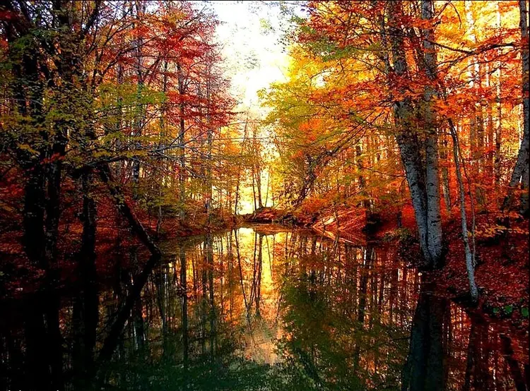bolu-yedigoller