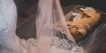 Düğün Sırasında Gelinin Duvağına Yatan Sokak Köpeğine Gelinin İnanılmaz Tepkisi