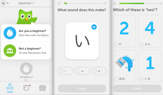 Duolingo Yabancı Dil Öğrenme