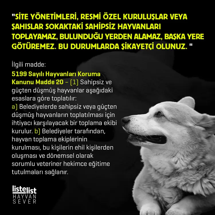 hayvan_haklari (1)