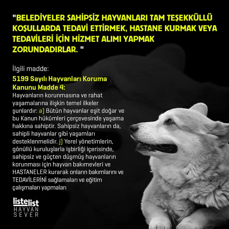 hayvan_haklari (2)