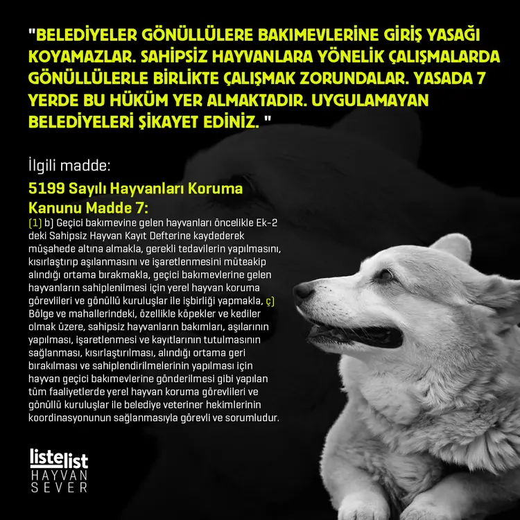 hayvan_haklari (6)